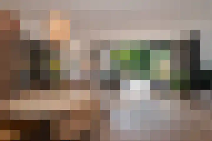 Pauwenveld 13 Zoetermeer thumbnail 4
