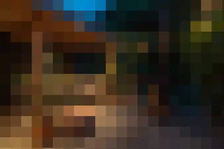 Pauwenveld 13 Zoetermeer thumbnail 43