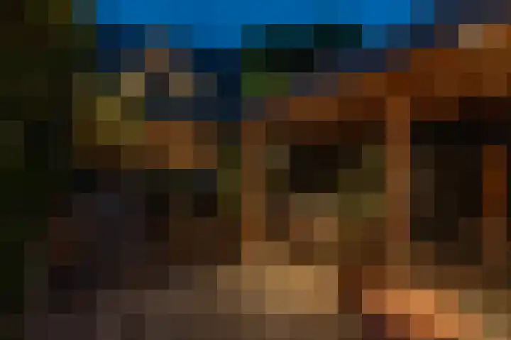 Pauwenveld 13 Zoetermeer thumbnail 44