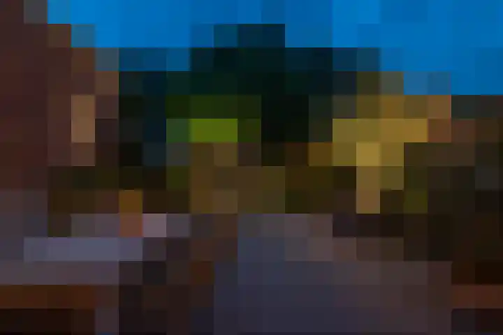 Pauwenveld 13 Zoetermeer thumbnail 45