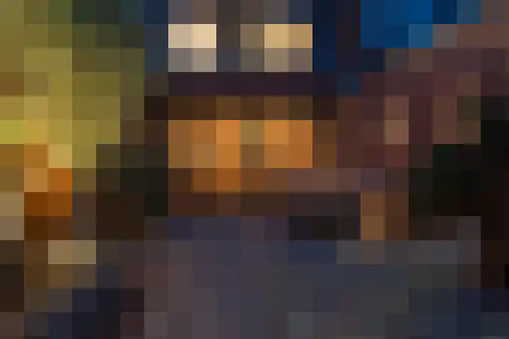 Pauwenveld 13 Zoetermeer thumbnail 47