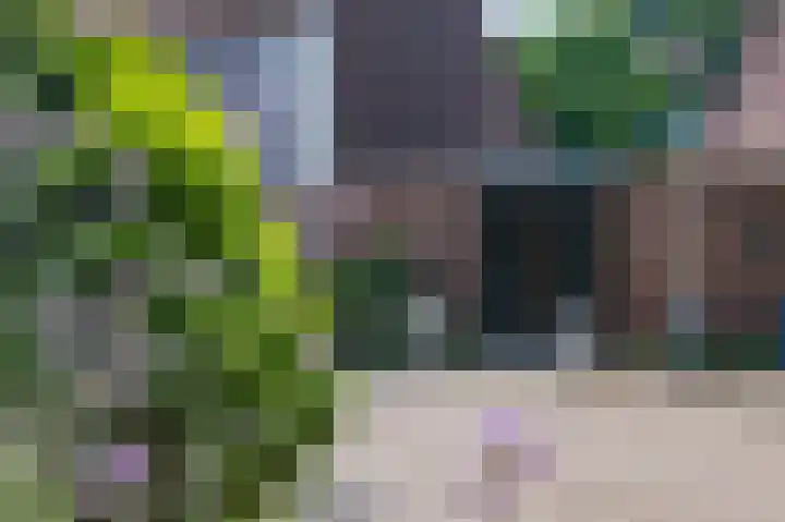 Pauwenveld 13 Zoetermeer thumbnail 49