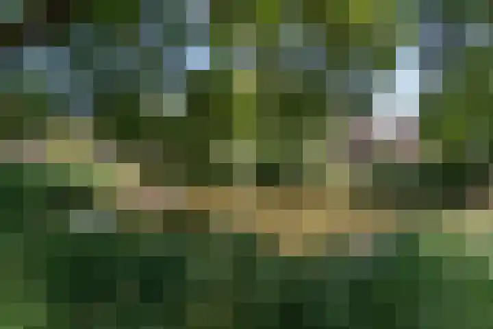 Pauwenveld 13 Zoetermeer thumbnail 50