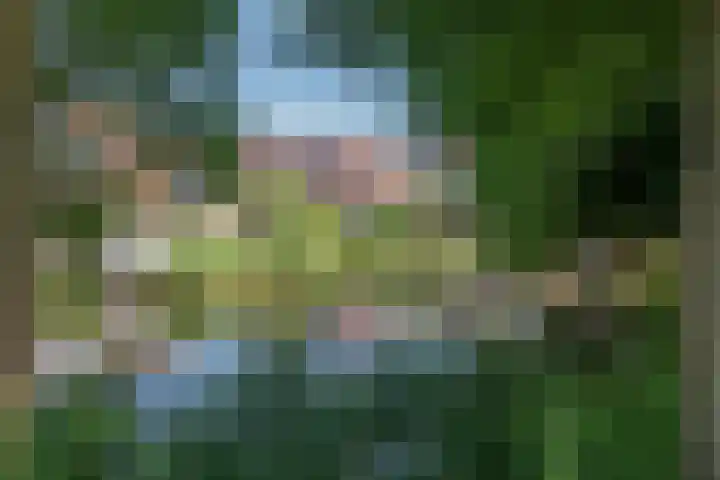 Pauwenveld 13 Zoetermeer thumbnail 51