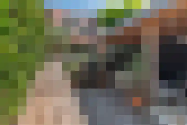 Pauwenveld 13 Zoetermeer thumbnail 59