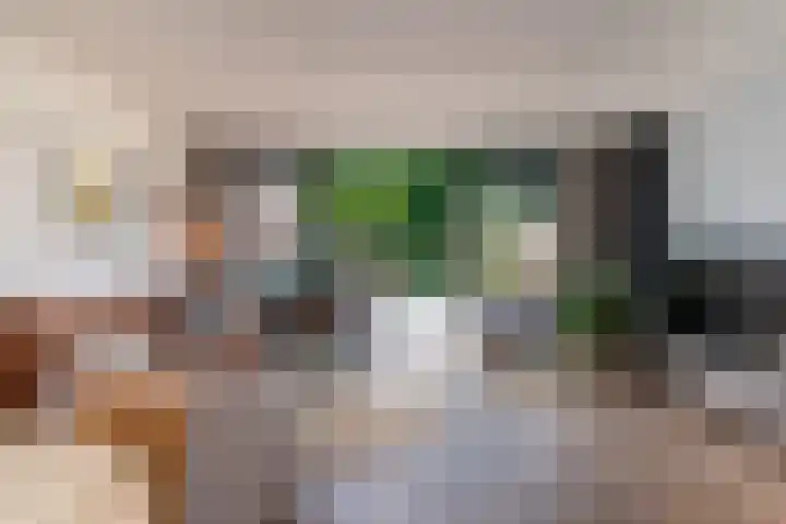 Pauwenveld 13 Zoetermeer thumbnail 6