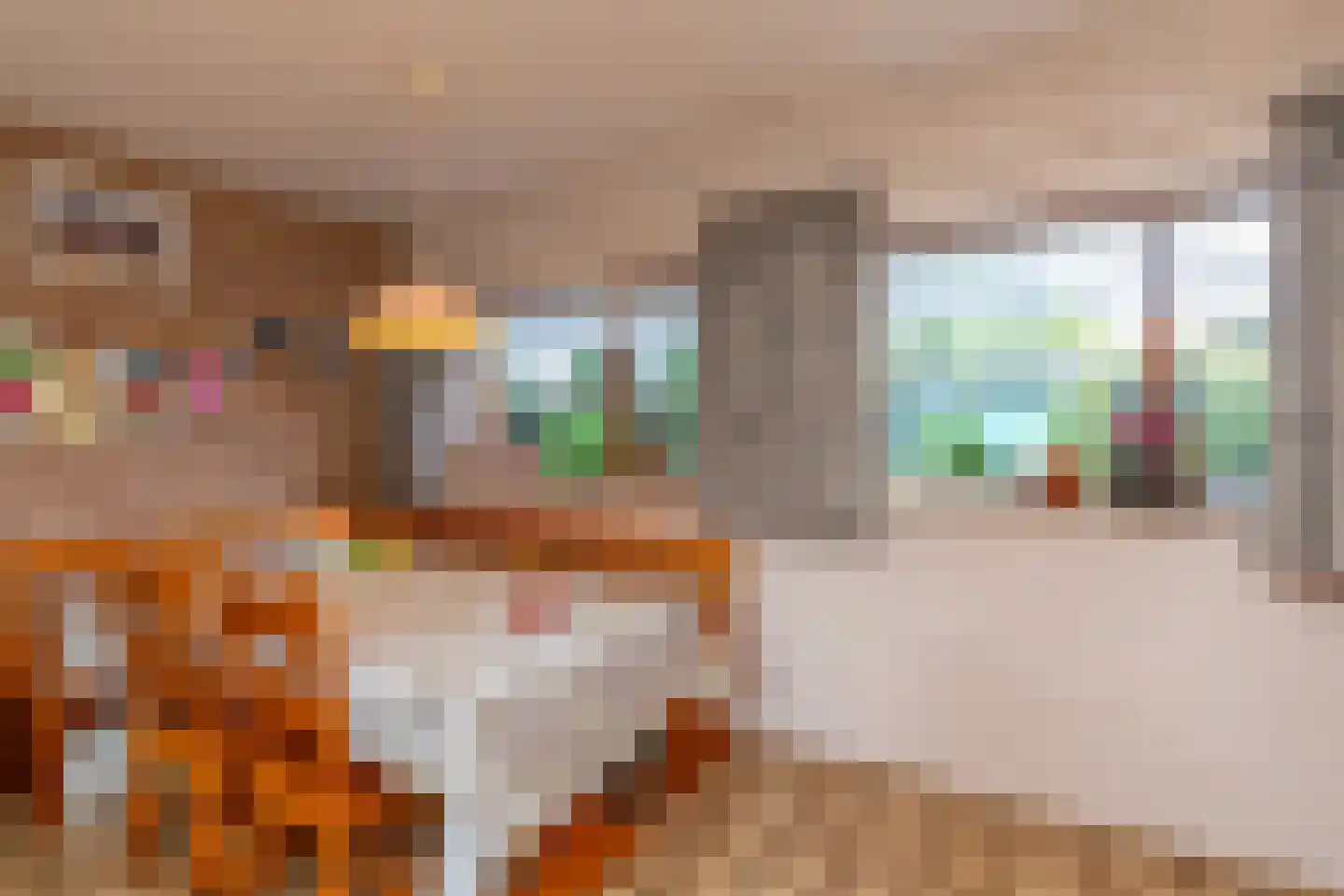 Pauwhoekstraat 1 Meliskerke thumbnail 15