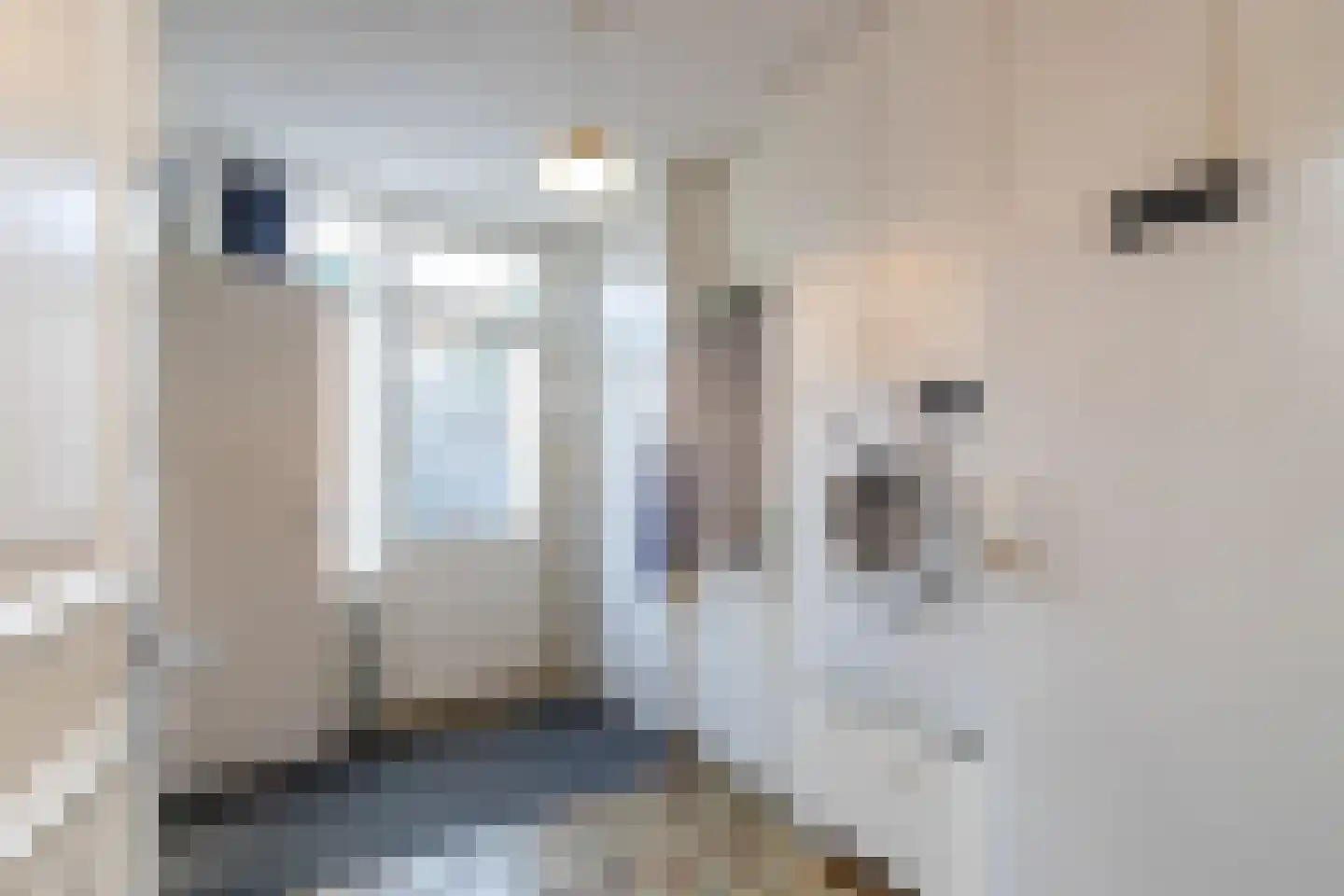 Pauwhoekstraat 1 Meliskerke thumbnail 16