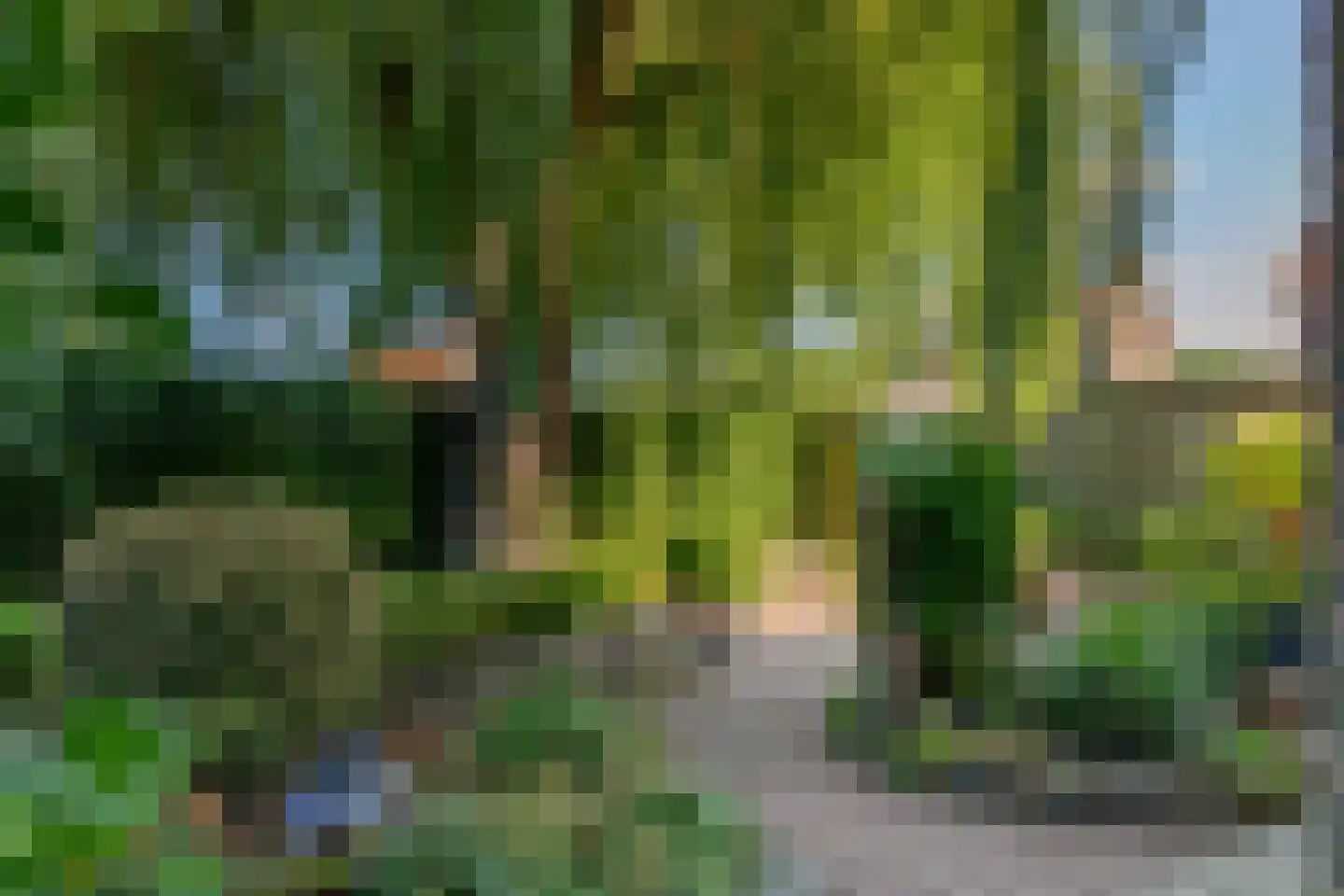 Pauwhoekstraat 1 Meliskerke thumbnail 33