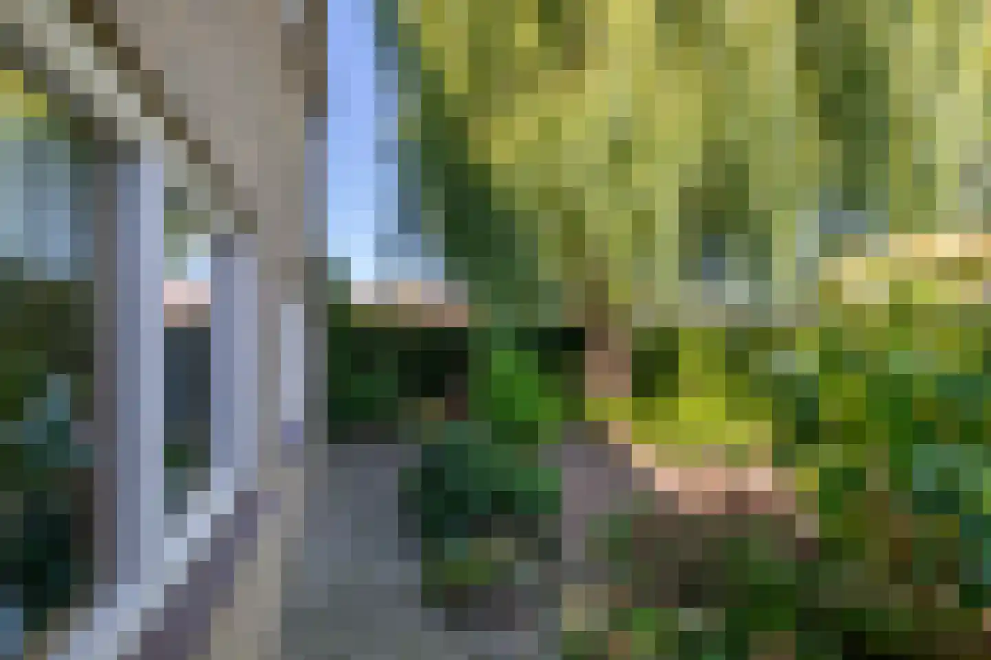 Pauwhoekstraat 1 Meliskerke thumbnail 36