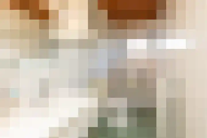 Pauwhoekstraat 4 Meliskerke thumbnail 15