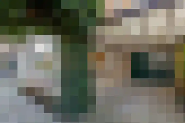 Pauwhoekstraat 4 Meliskerke thumbnail 26