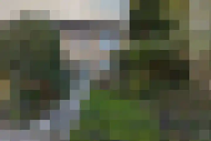 Pauwhoekstraat 4 Meliskerke thumbnail 29