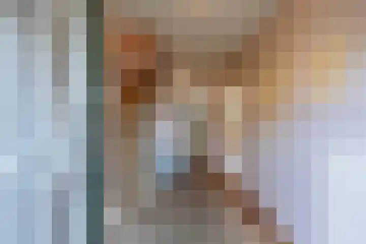 Pauwhoekstraat 4 Meliskerke thumbnail 9