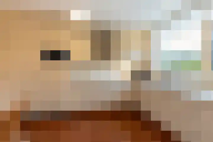 Pauwhoekstraat 48 Meliskerke thumbnail 14