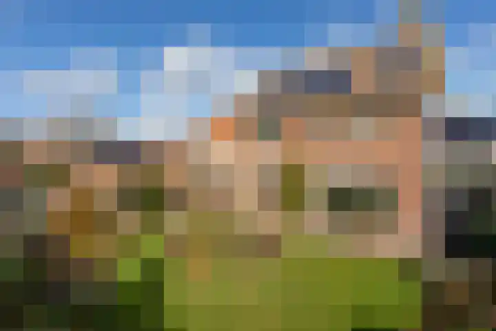 Pauwhoekstraat 48 Meliskerke thumbnail 35