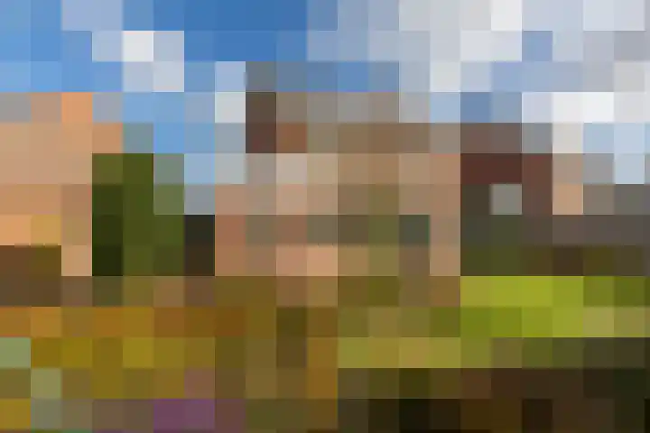 Pauwhoekstraat 48 Meliskerke thumbnail 36