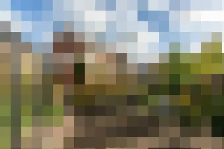 Pauwhoekstraat 48 Meliskerke thumbnail 37