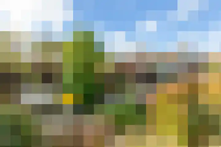 Pauwhoekstraat 48 Meliskerke thumbnail 38