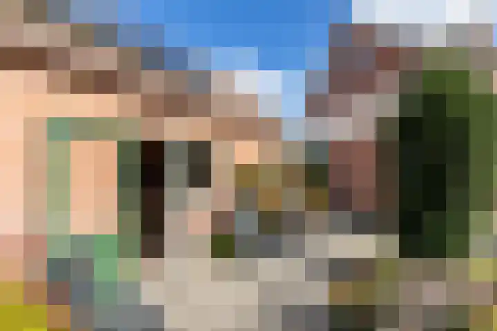 Pauwhoekstraat 48 Meliskerke thumbnail 41