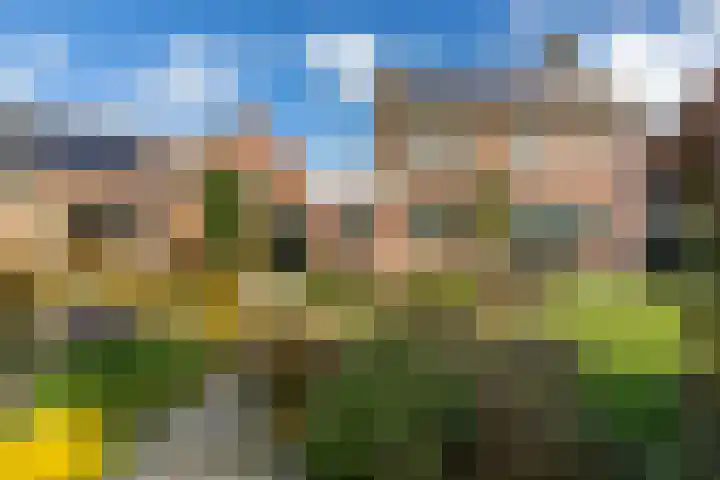 Pauwhoekstraat 48 Meliskerke thumbnail 5