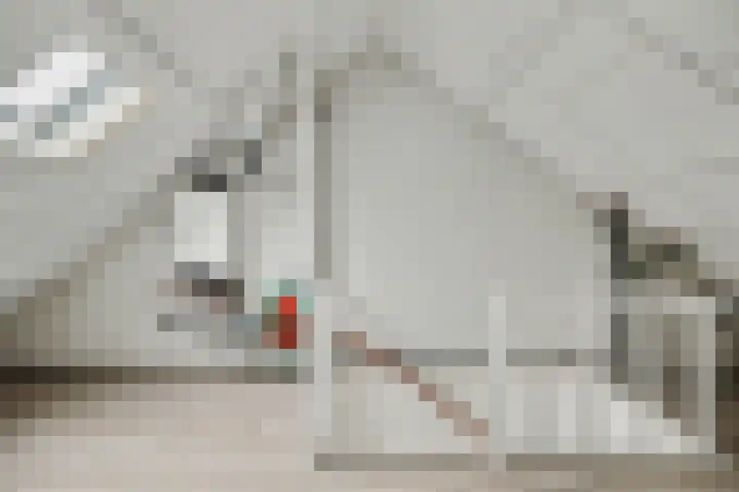 Pauwhoekstraat 57 Meliskerke thumbnail 29