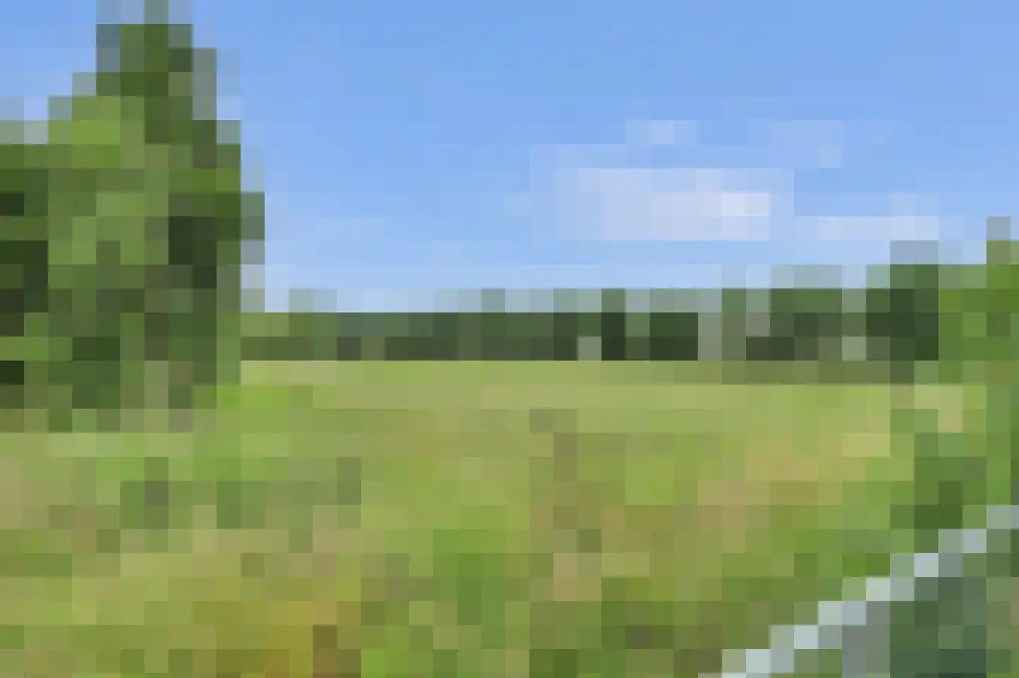 Pauwhoekstraat 57 Meliskerke thumbnail 38