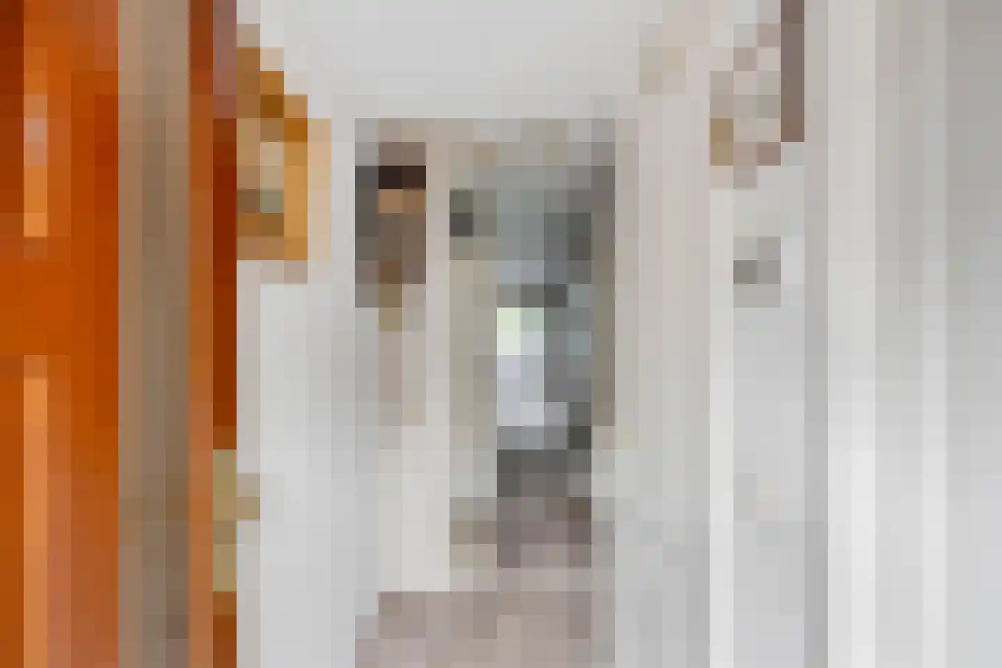 Pauwhof 150 Rijswijk thumbnail 14