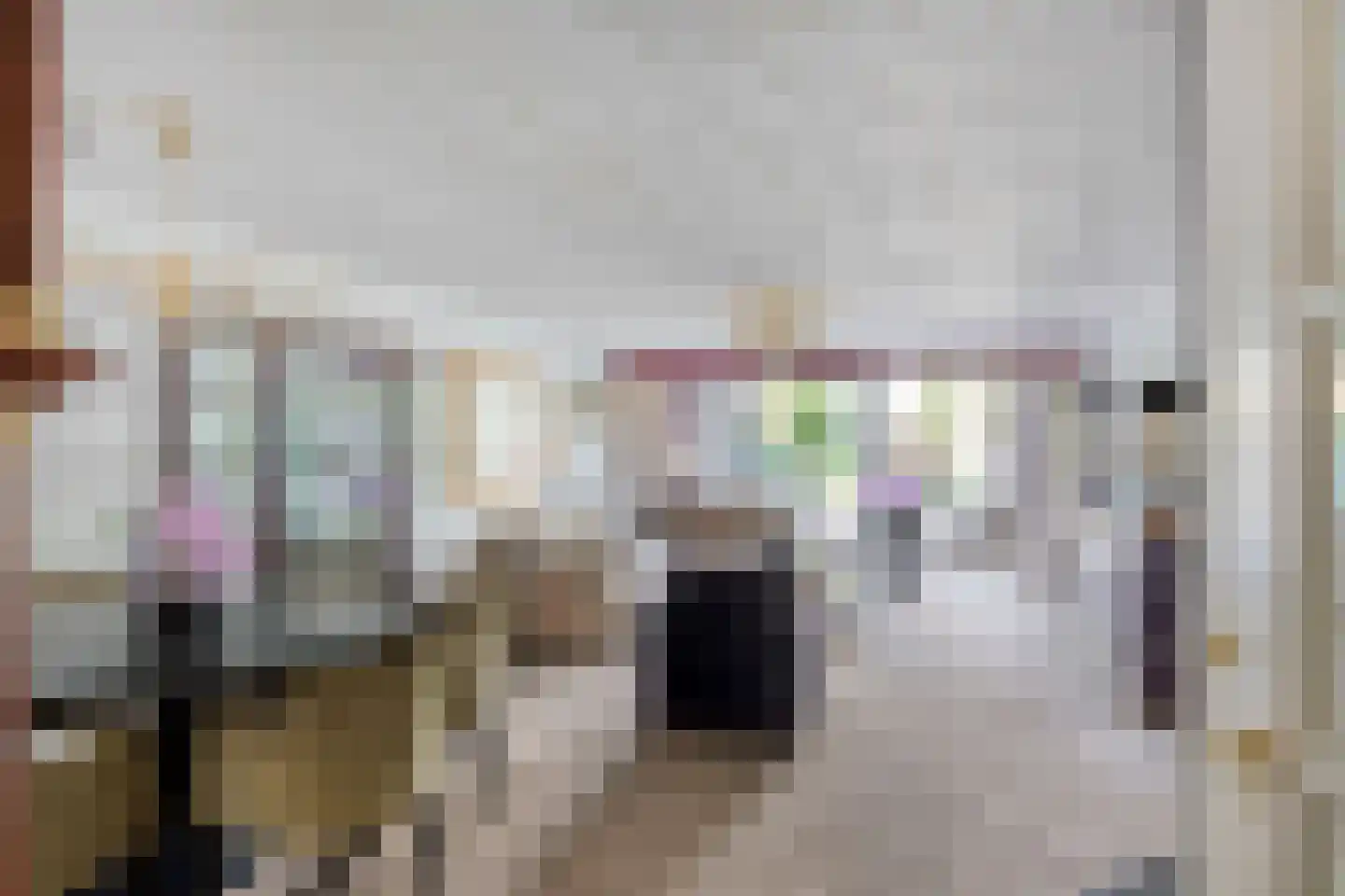 Pauwhof 150 Rijswijk thumbnail 16