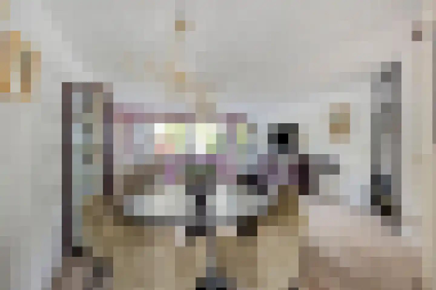 Pauwhof 150 Rijswijk thumbnail 18