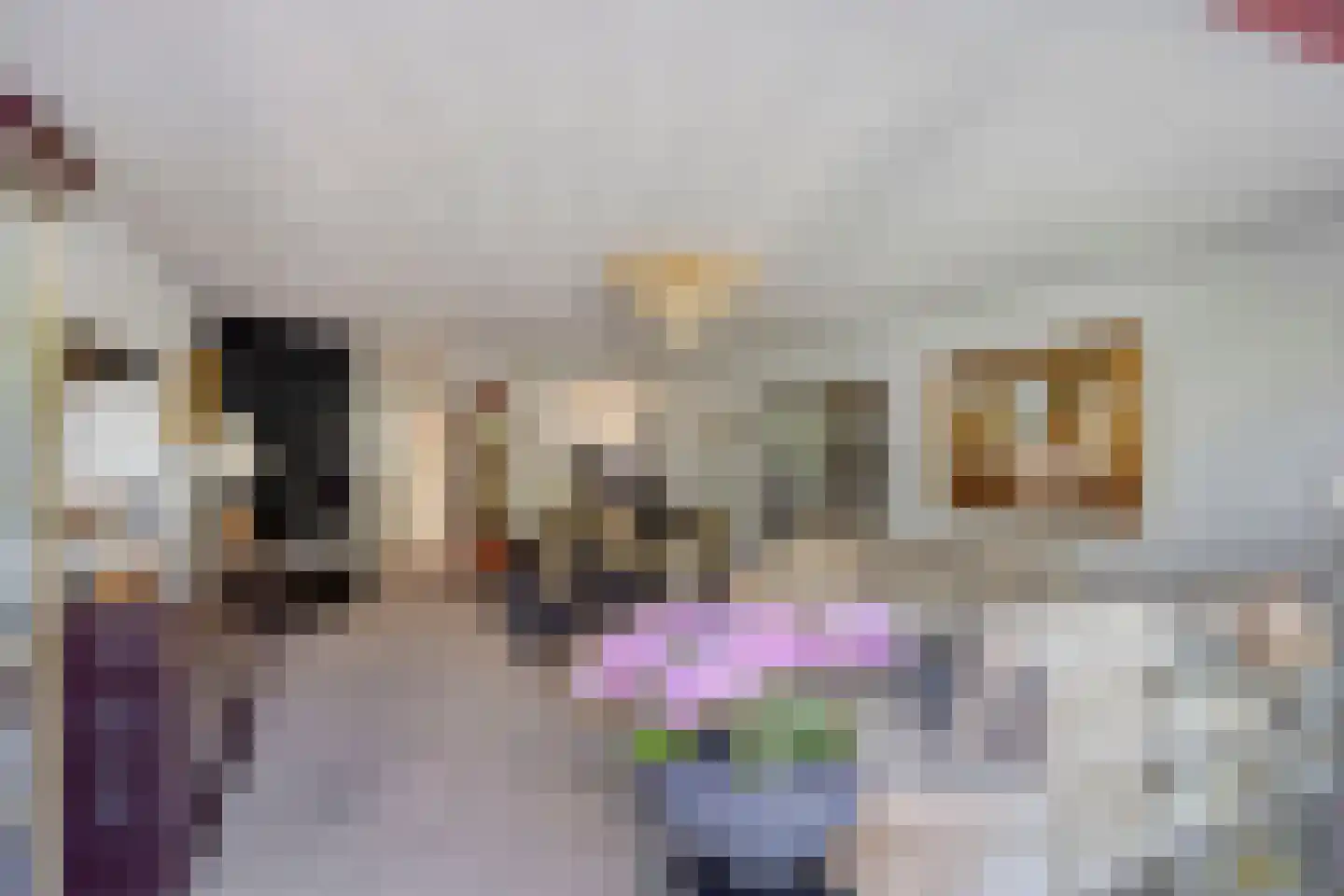 Pauwhof 150 Rijswijk thumbnail 19