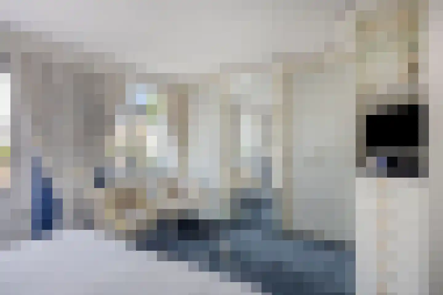 Pauwhof 150 Rijswijk thumbnail 22