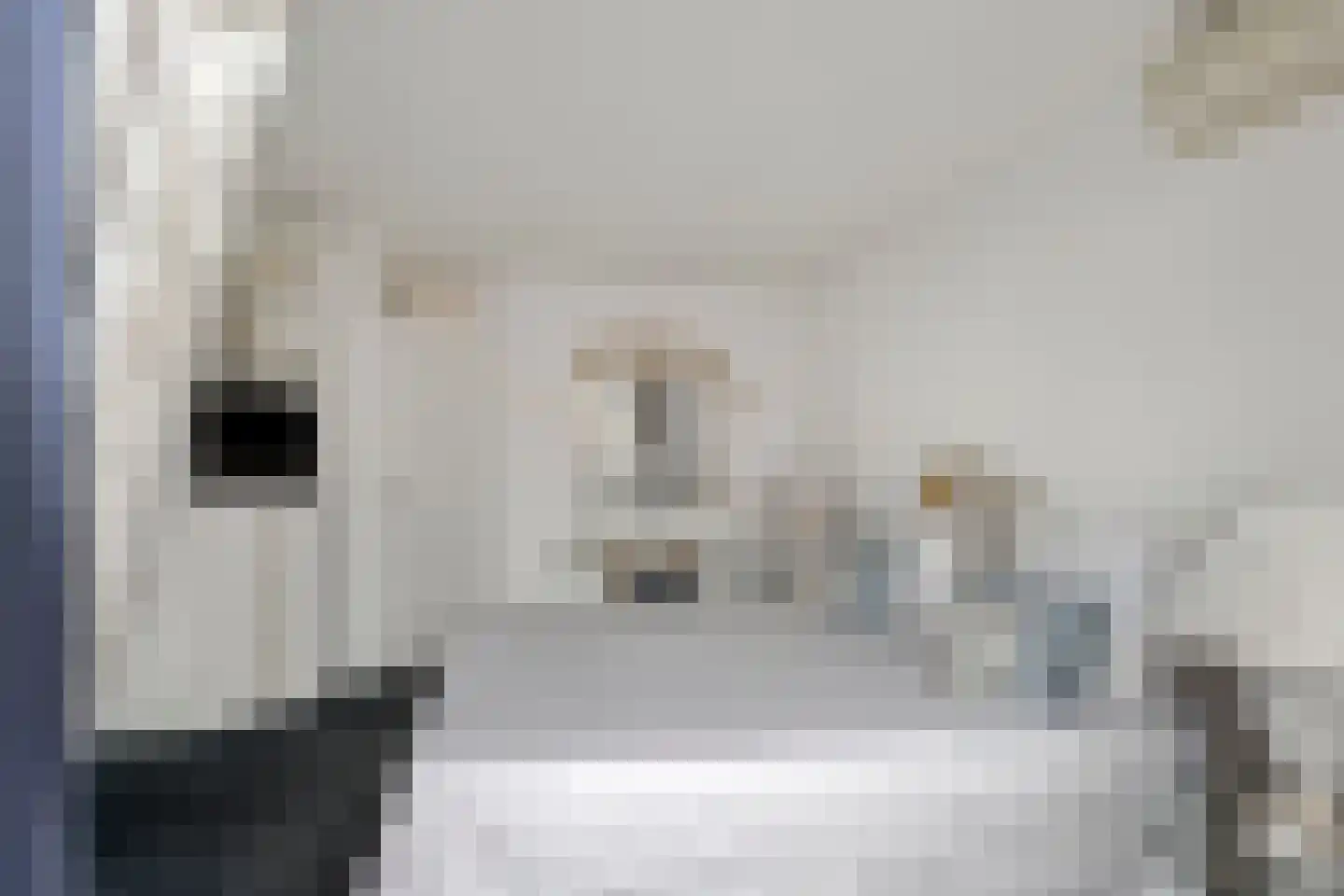 Pauwhof 150 Rijswijk thumbnail 23