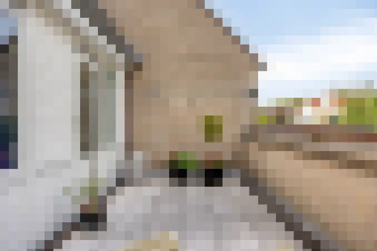 Pauwhof 150 Rijswijk thumbnail 25