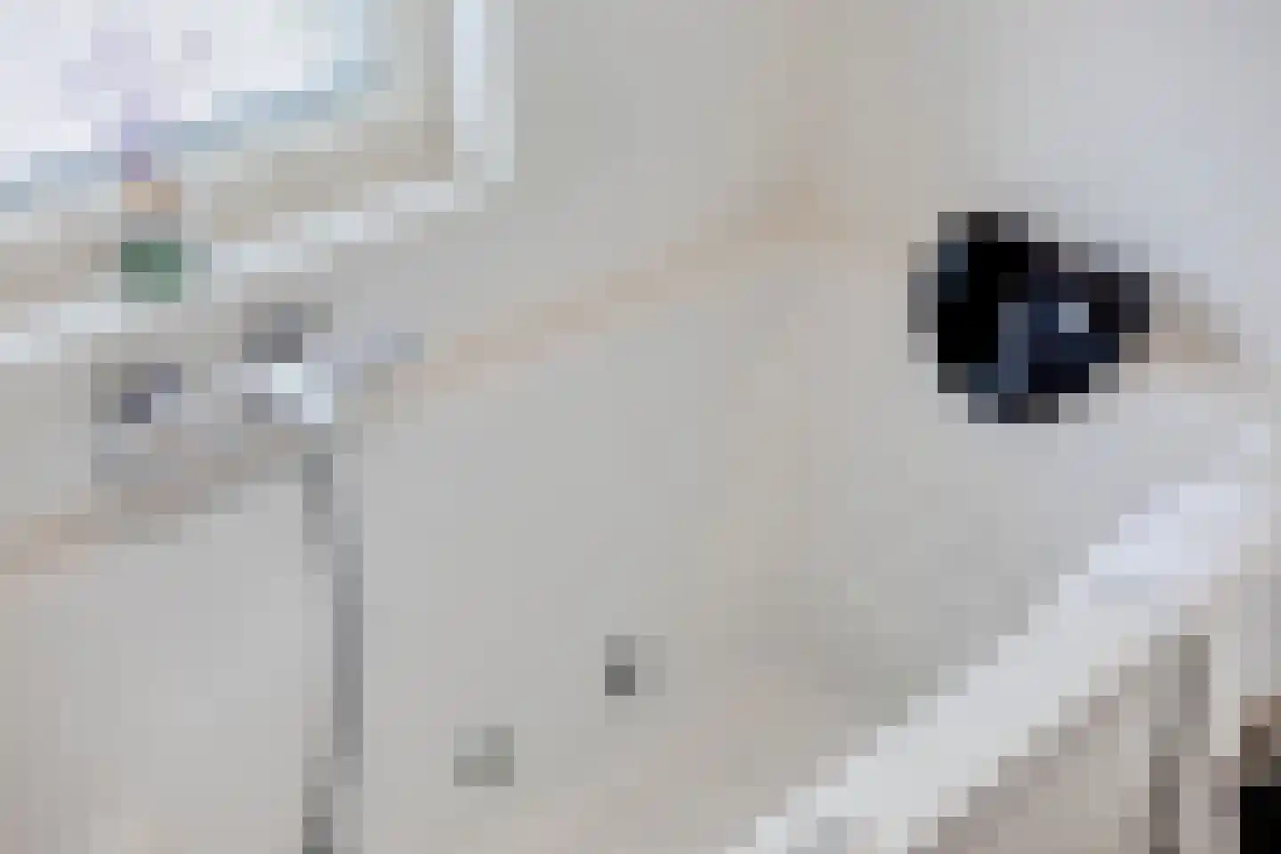 Pauwhof 150 Rijswijk thumbnail 27