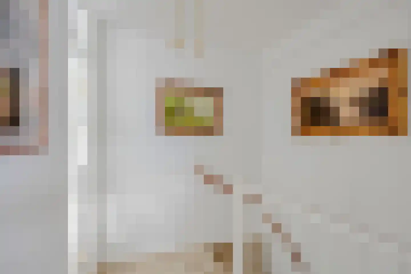 Pauwhof 150 Rijswijk thumbnail 30