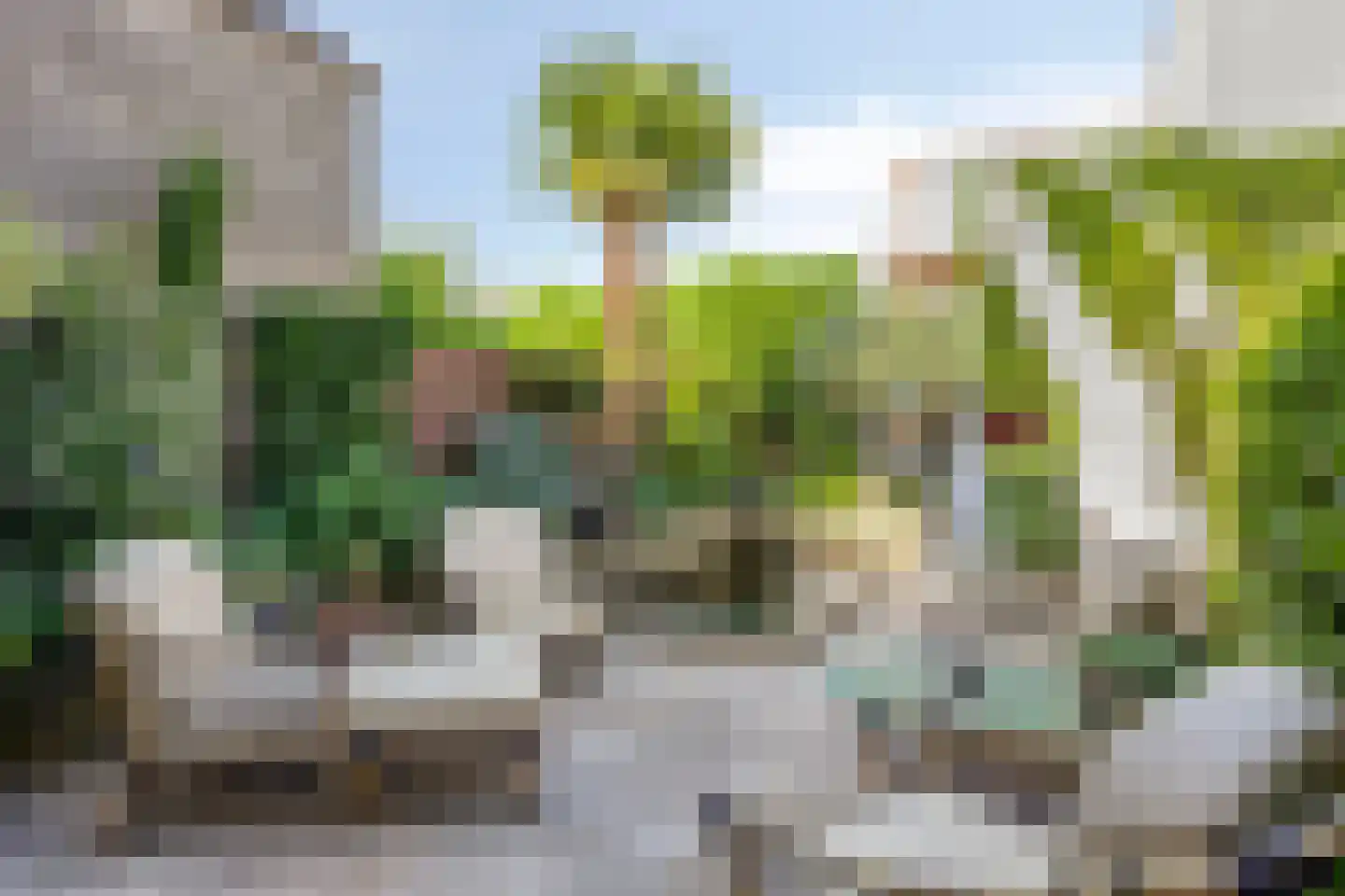 Pauwhof 150 Rijswijk thumbnail 34