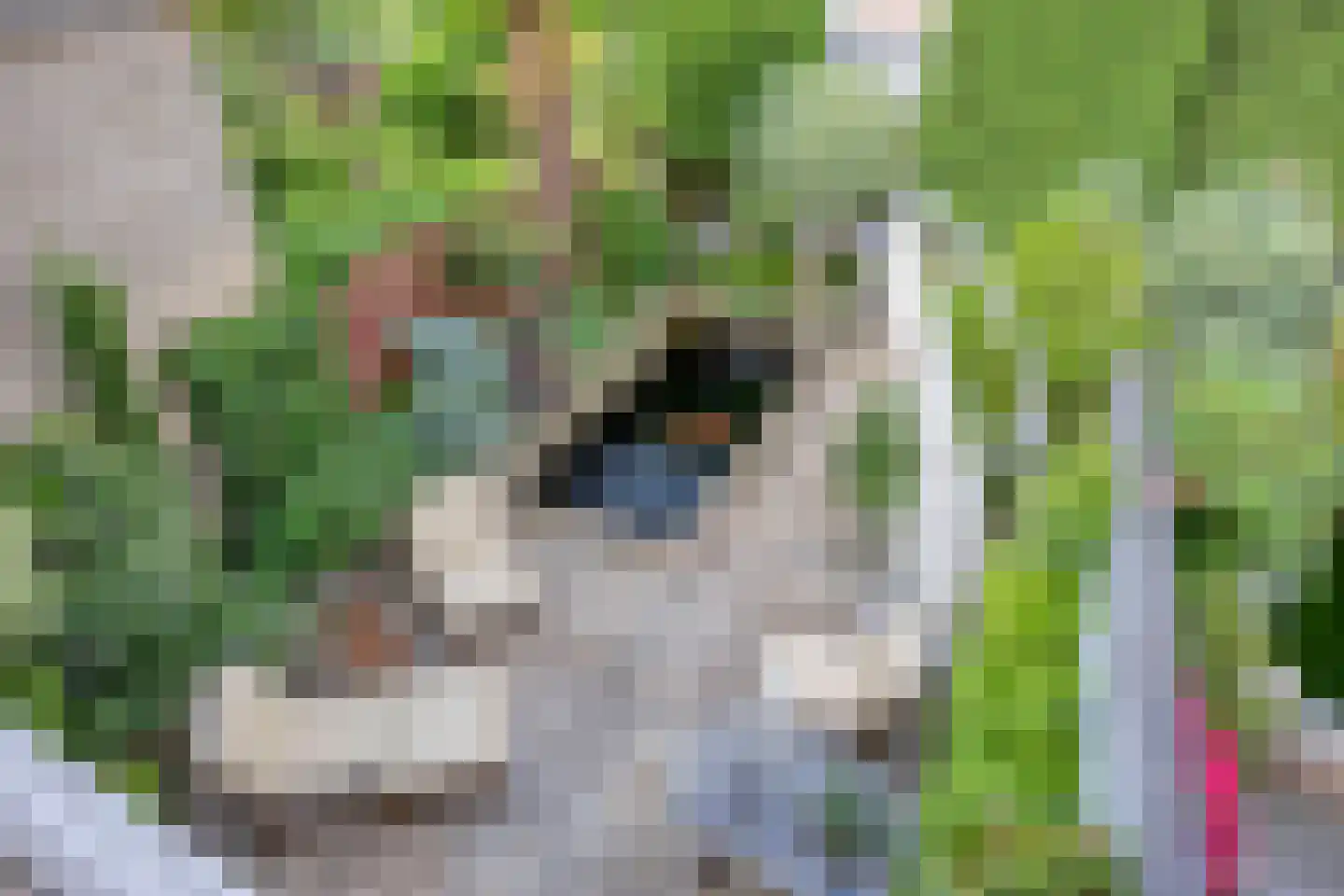 Pauwhof 150 Rijswijk thumbnail 36