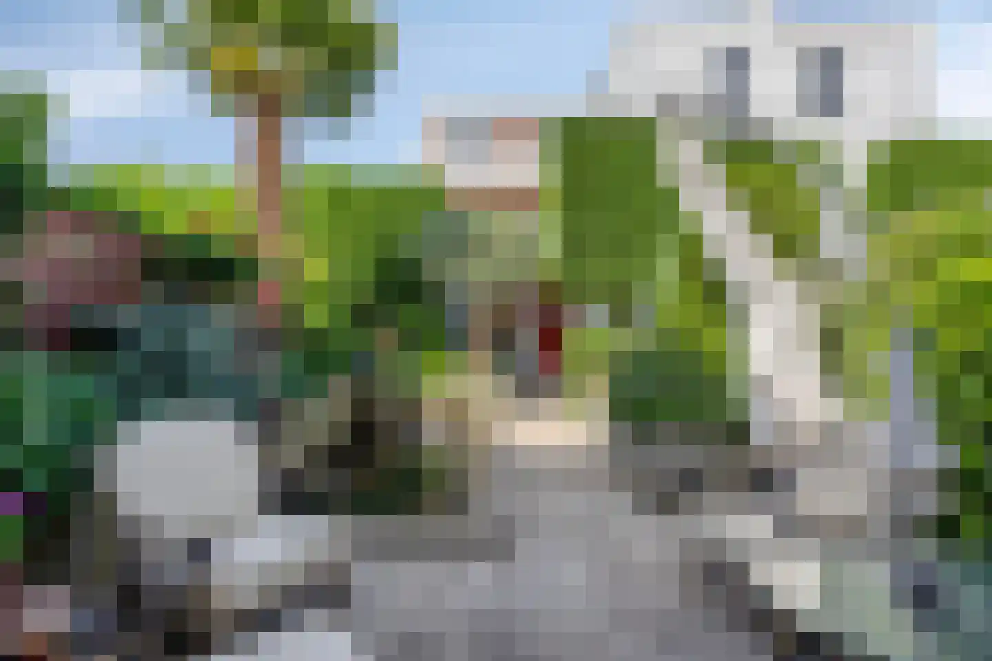 Pauwhof 150 Rijswijk thumbnail 4