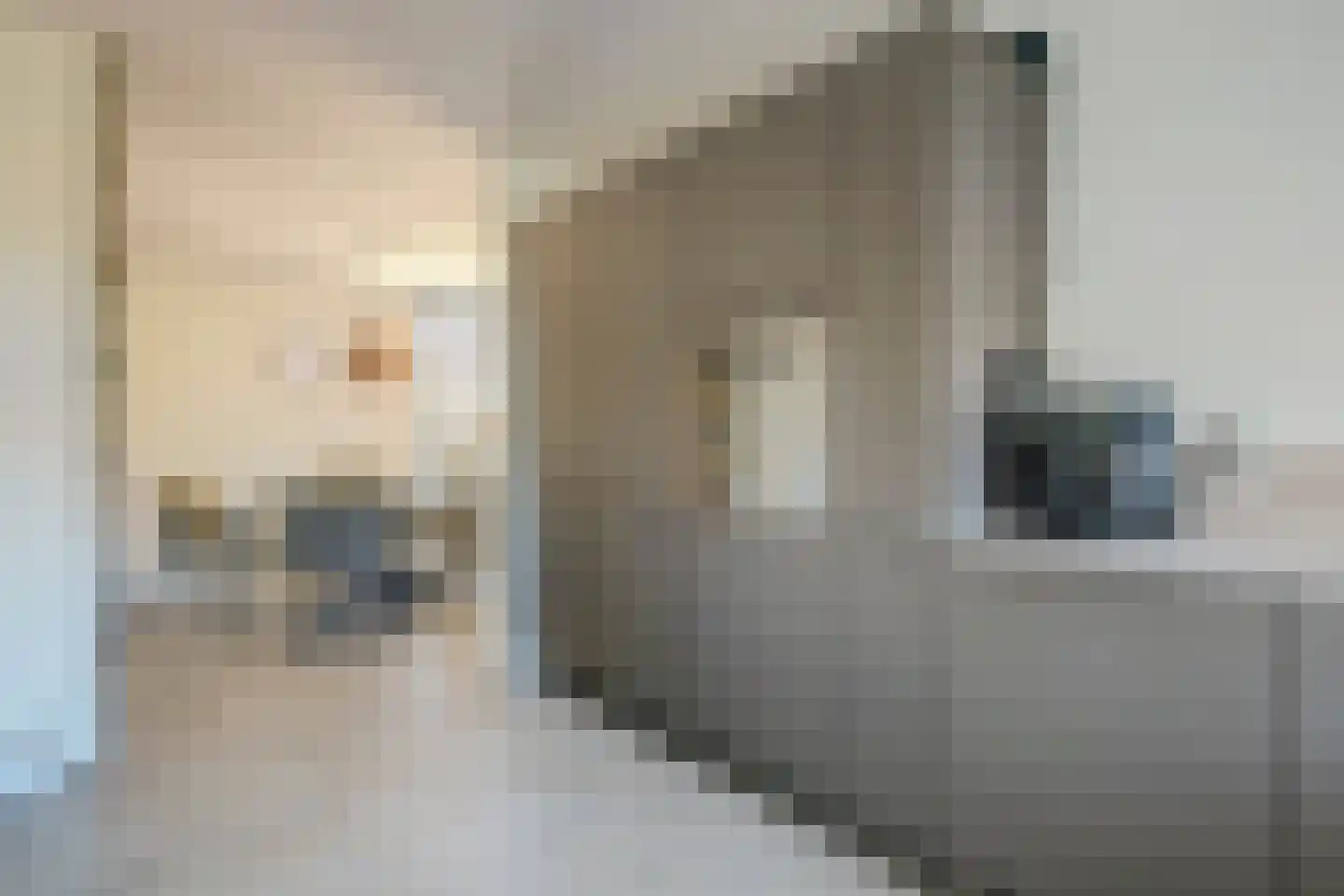 Pauwhof 3 Heinkenszand thumbnail 15