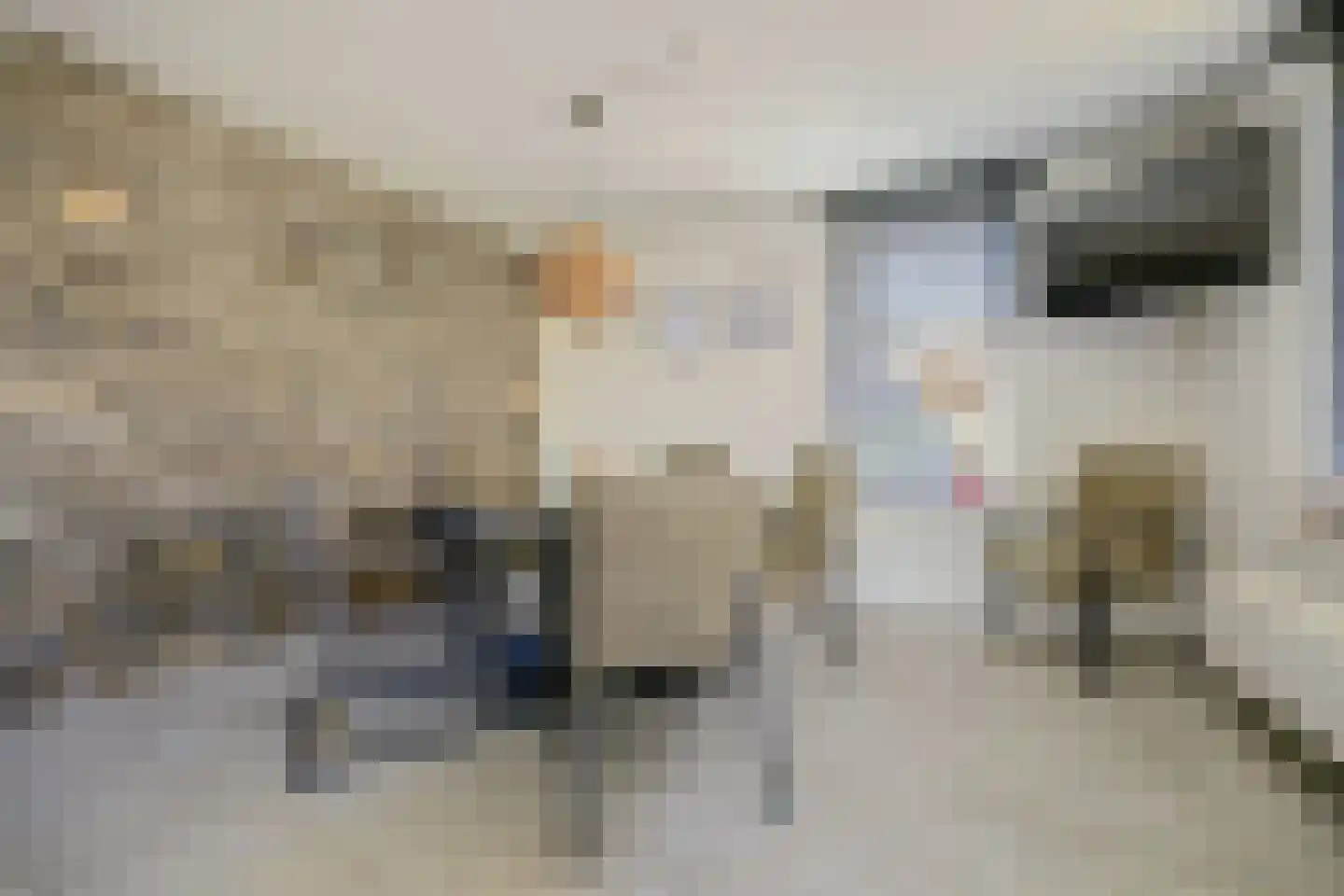 Pauwhof 3 Heinkenszand thumbnail 17