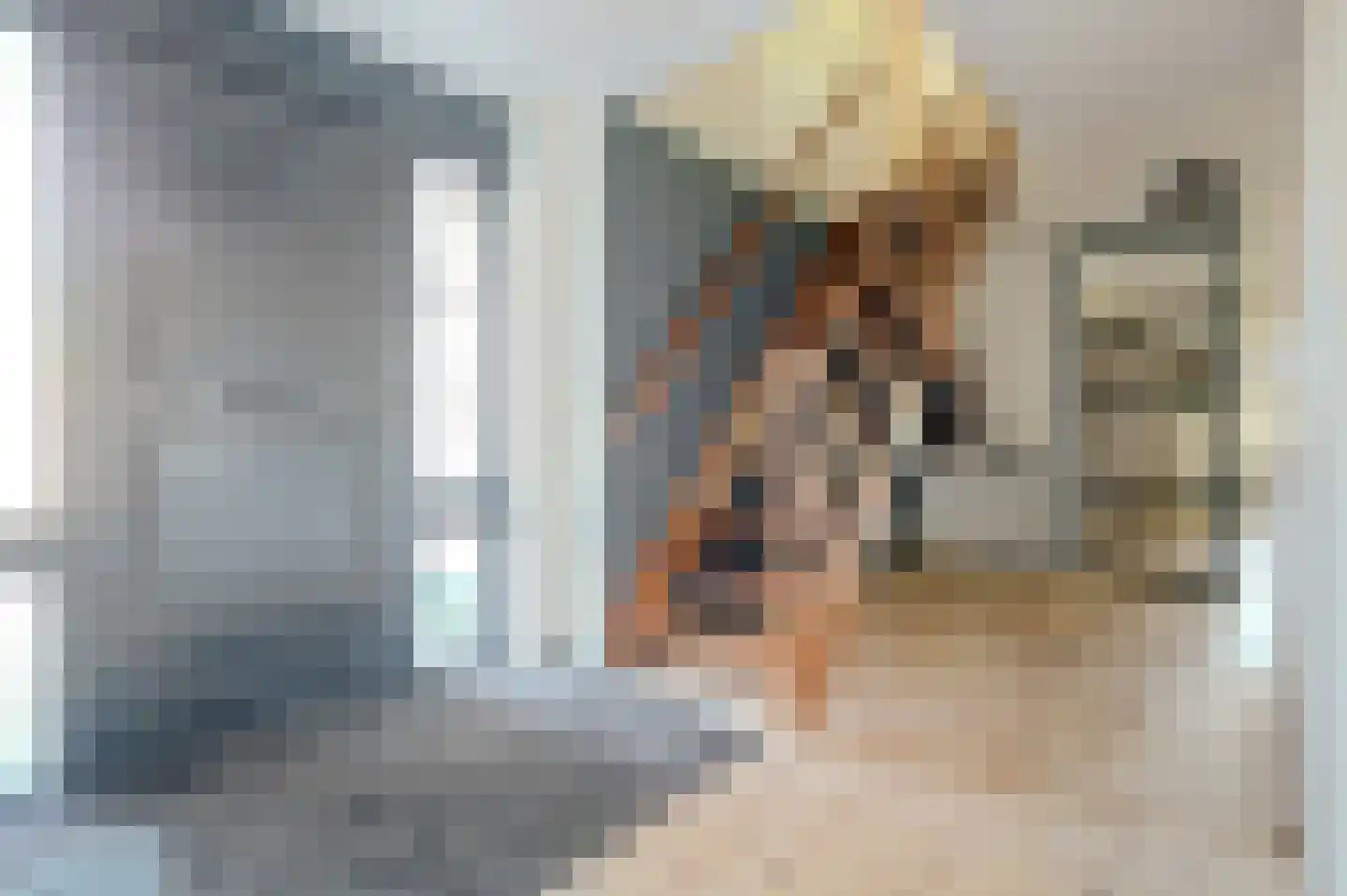 Pauwhof 3 Heinkenszand thumbnail 21