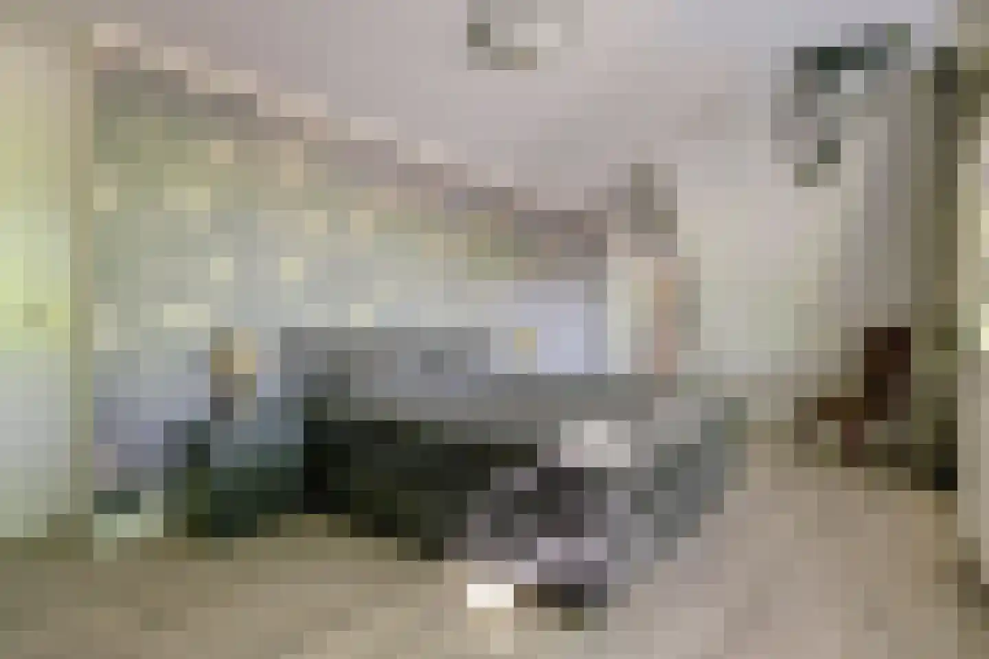 Pauwhof 3 Heinkenszand thumbnail 25