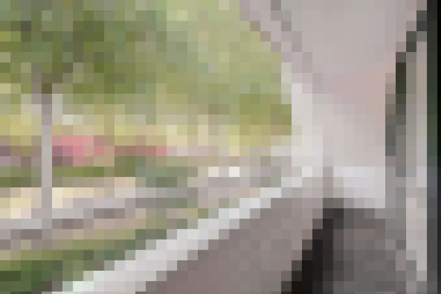 Pauwhof 3 Heinkenszand thumbnail 27
