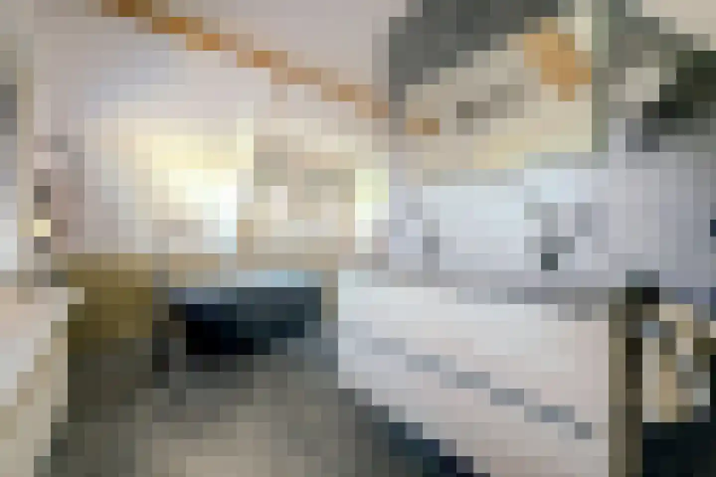 Pauwhof 3 Heinkenszand thumbnail 28