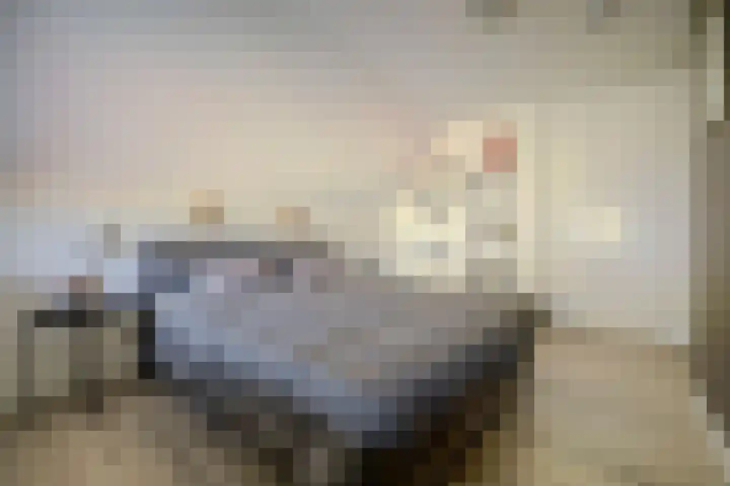 Pauwhof 3 Heinkenszand thumbnail 31