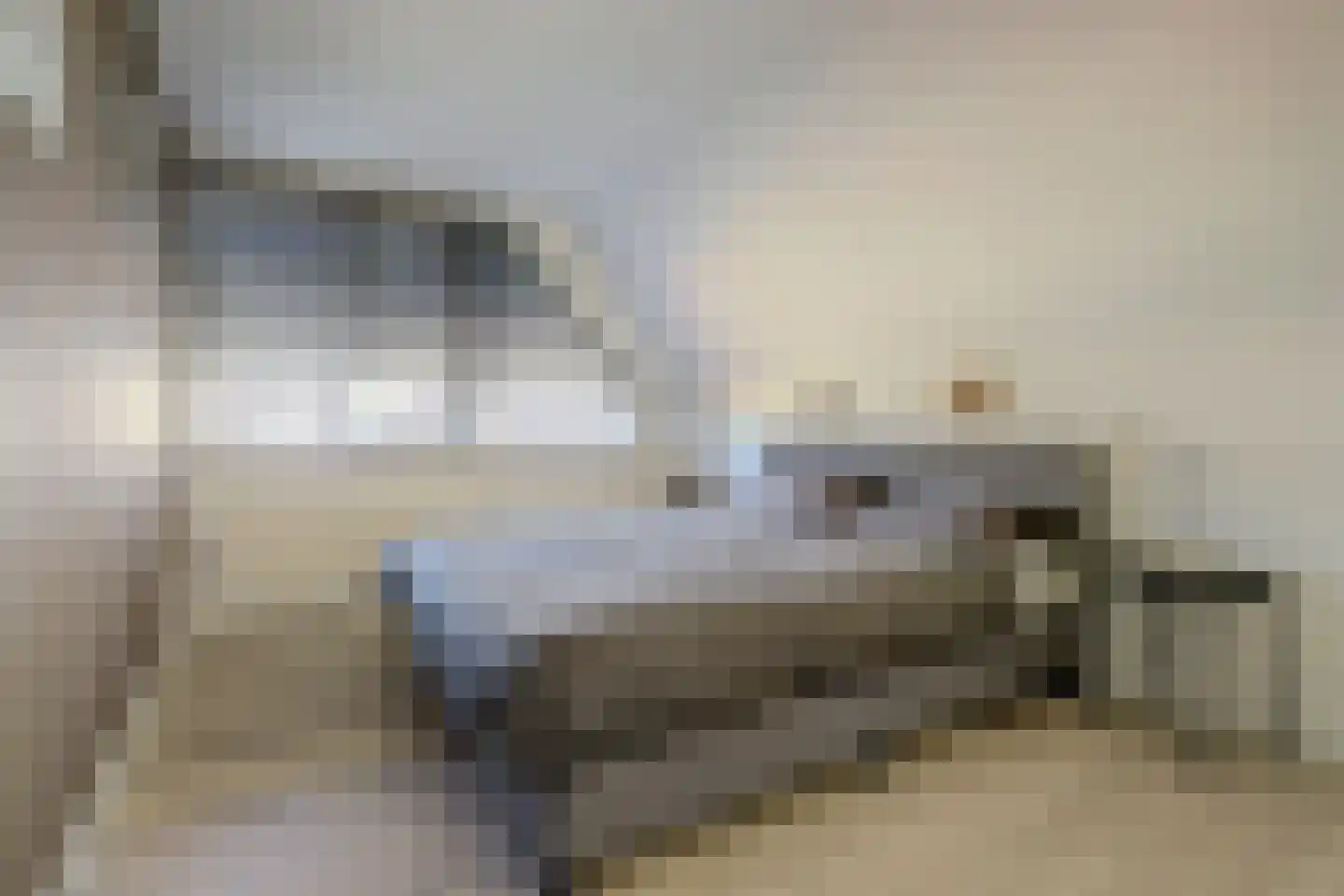 Pauwhof 3 Heinkenszand thumbnail 32