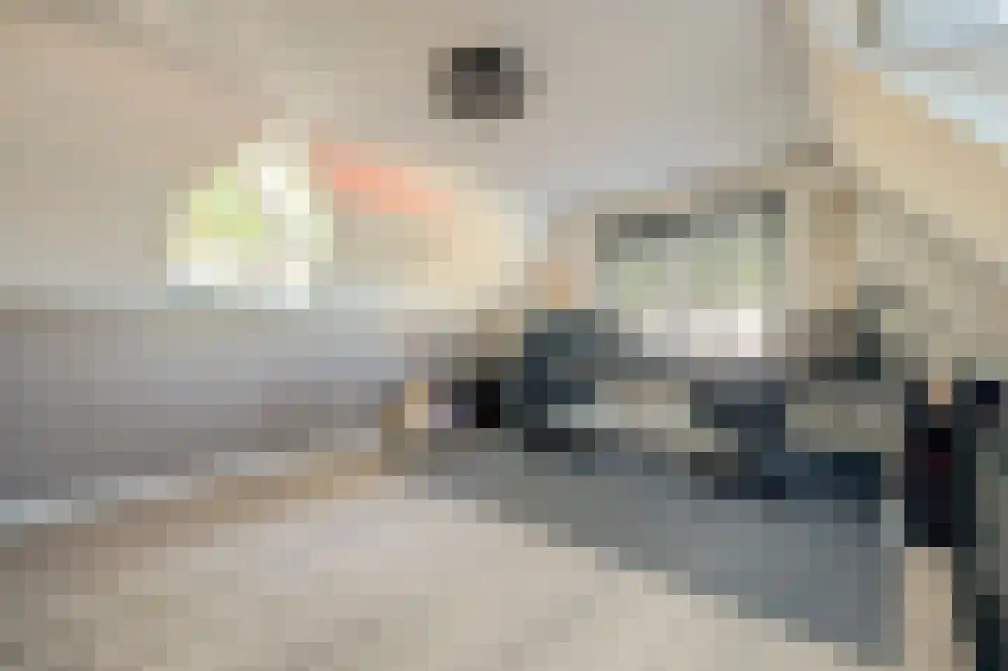 Pauwhof 3 Heinkenszand thumbnail 35