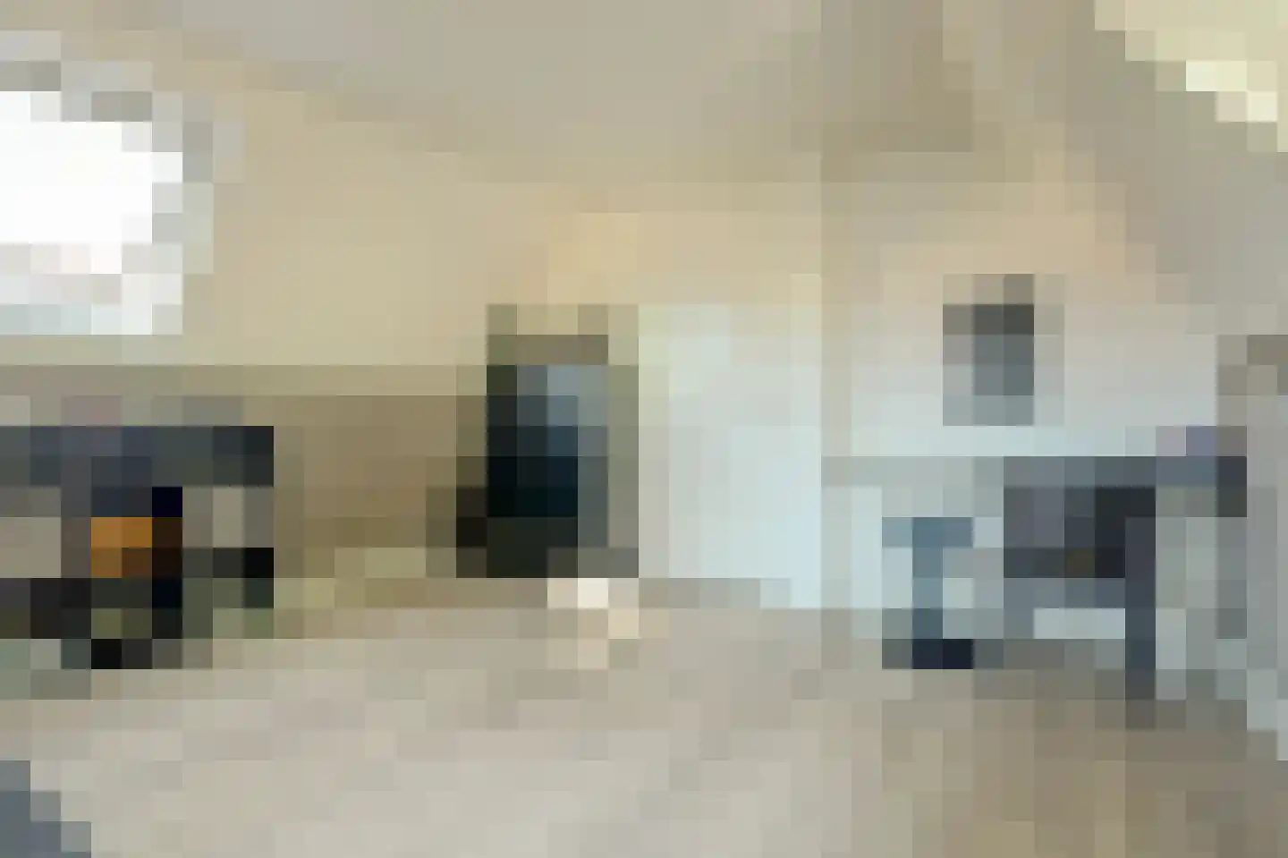 Pauwhof 3 Heinkenszand thumbnail 36