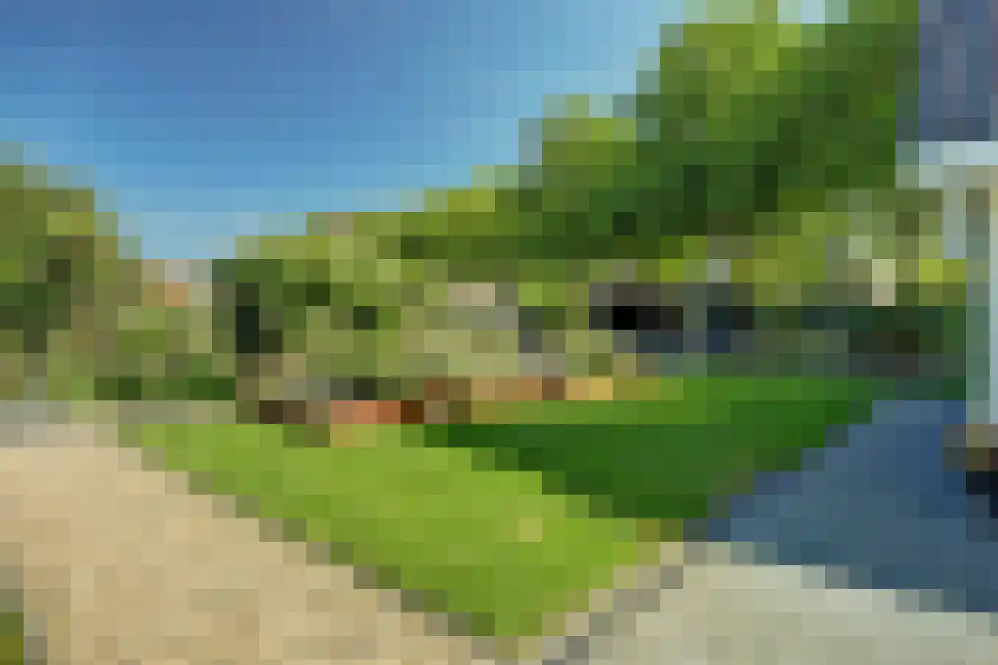 Pauwhof 3 Heinkenszand thumbnail 45